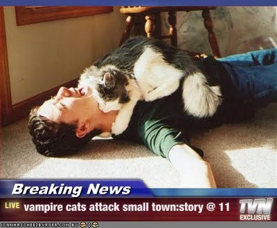 vampirecatattack.jpg