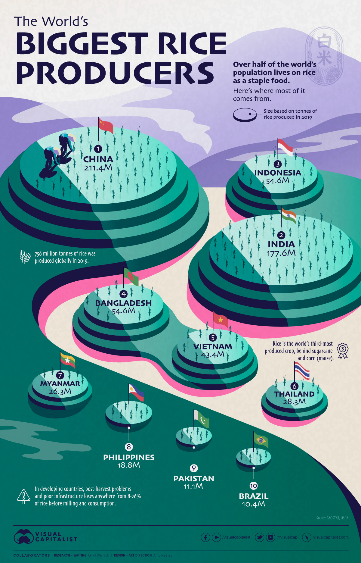 Visualizing-The-Worlds-Biggest-Rice-Producers.jpg