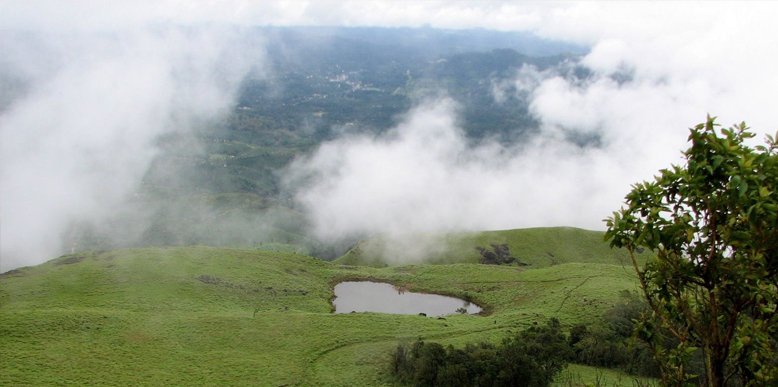 wayanad.jpg