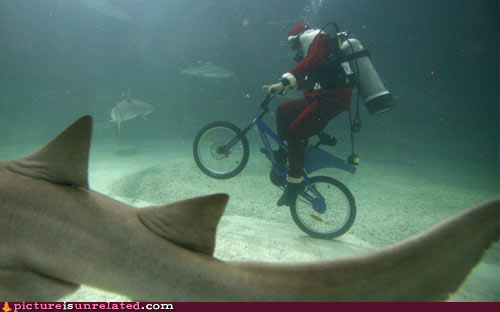 wtf-pics-santa-sharks.jpg