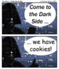 The_Power_of_the_Dark_Side_by_Darth_Tanuki.jpg