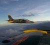 l-39 training formation.jpg