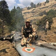 MIG21DOWN