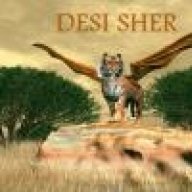 Desi Sher