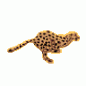 Cheetah786