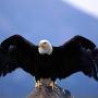 supereagle