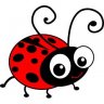 Ladybug