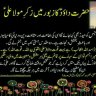 Syed Naseem97