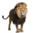 smartlion