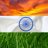 Subcontinental