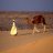 Bedouin