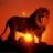 Shardul.....the lion