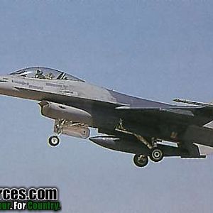 F-16 Fighting Falcon