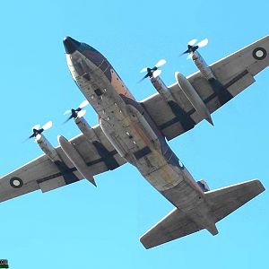 C-130 Hercules