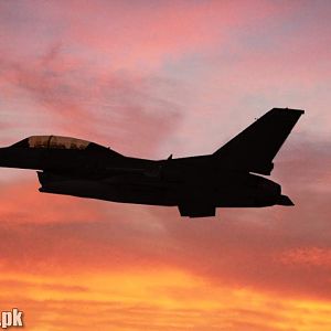 Viper at dusk.