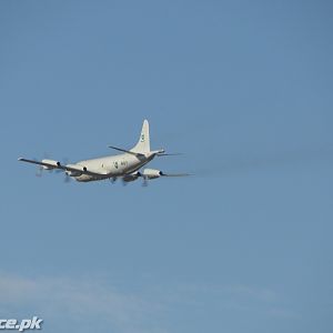 P-3C Maritime Surveillance aircraft