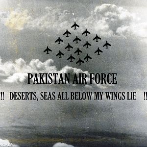 PAF_Falcons-02_1_