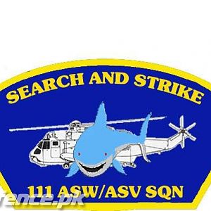 No. 111 ASW/ASV Squadron