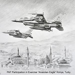 PAF Paintings