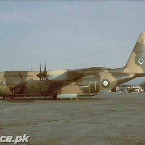 PAF C-130