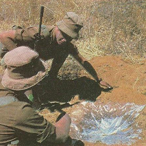 South Africa at war