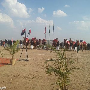 Rangers at cholistan rally