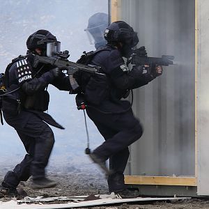 GIGN CZ Bren 2