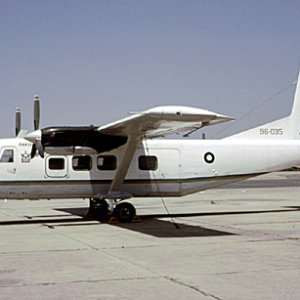 y-1SS2.jpg