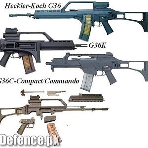 G-36 Rilfe German Army Standerd