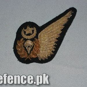 air force squadron patch