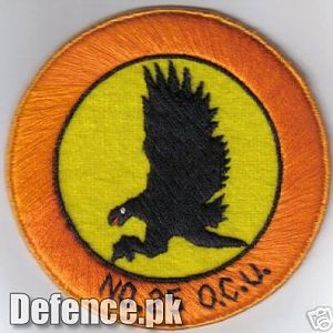 PAF patch