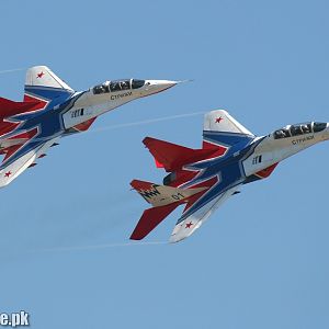 Two Russian Swifts