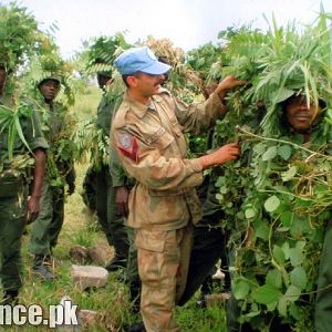 Pakistan Army UN Mssion in Colambia