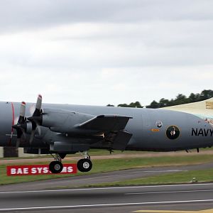 PN's PIII-C Orion @ RIAT 2008.