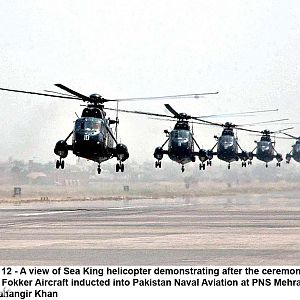 Westland Sea King's