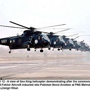 Westland Sea King's