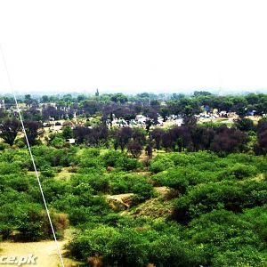 Tilla Field Firing Range