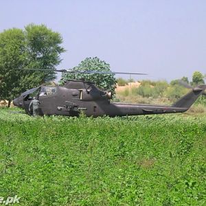 AH-1Cobra During Exs.