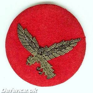 3 Squadron Patch