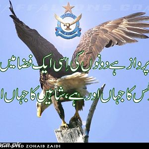 Pakistan Air Force