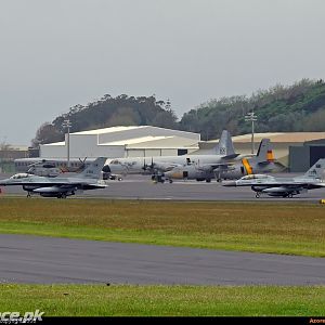 Paf F-16's at Lajes