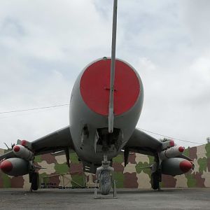 PAF_F-6_2