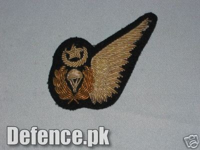 air force squadron patch