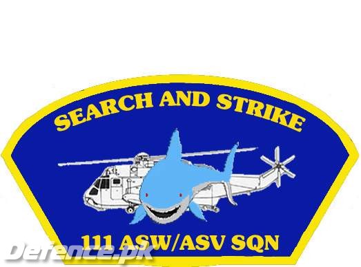 No. 111 ASW/ASV Squadron