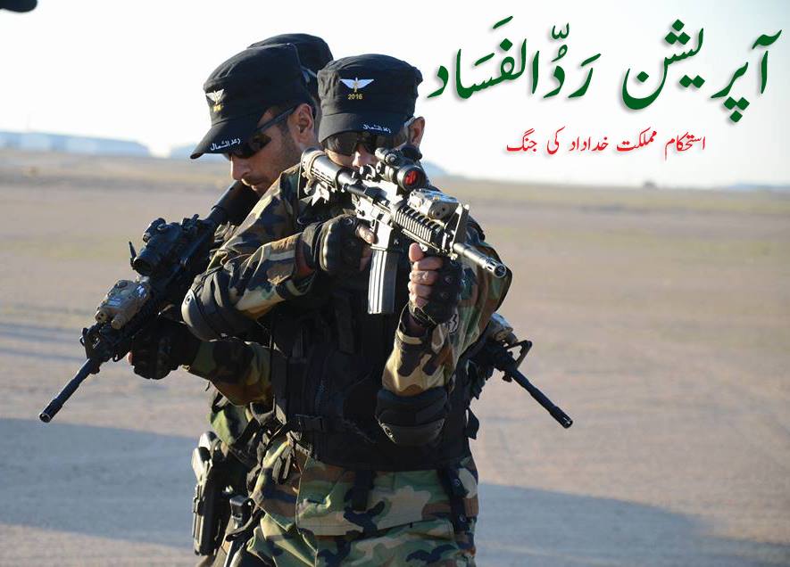 Operation Radd Ul fasad