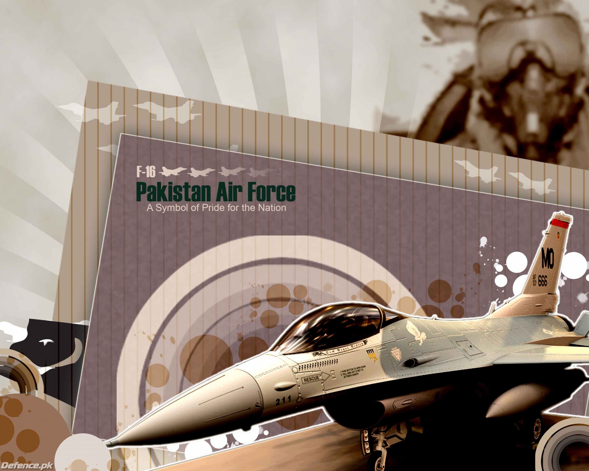 PAKISTAN AIR FORCE (F-16)