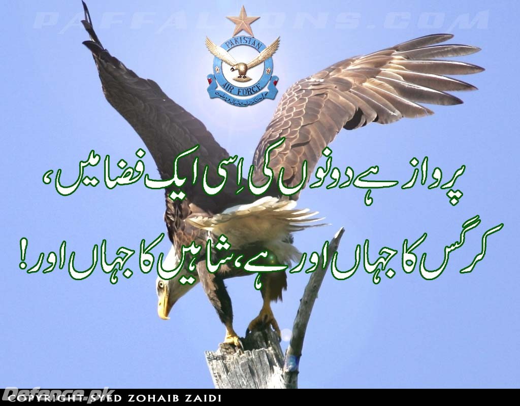 Pakistan Air Force