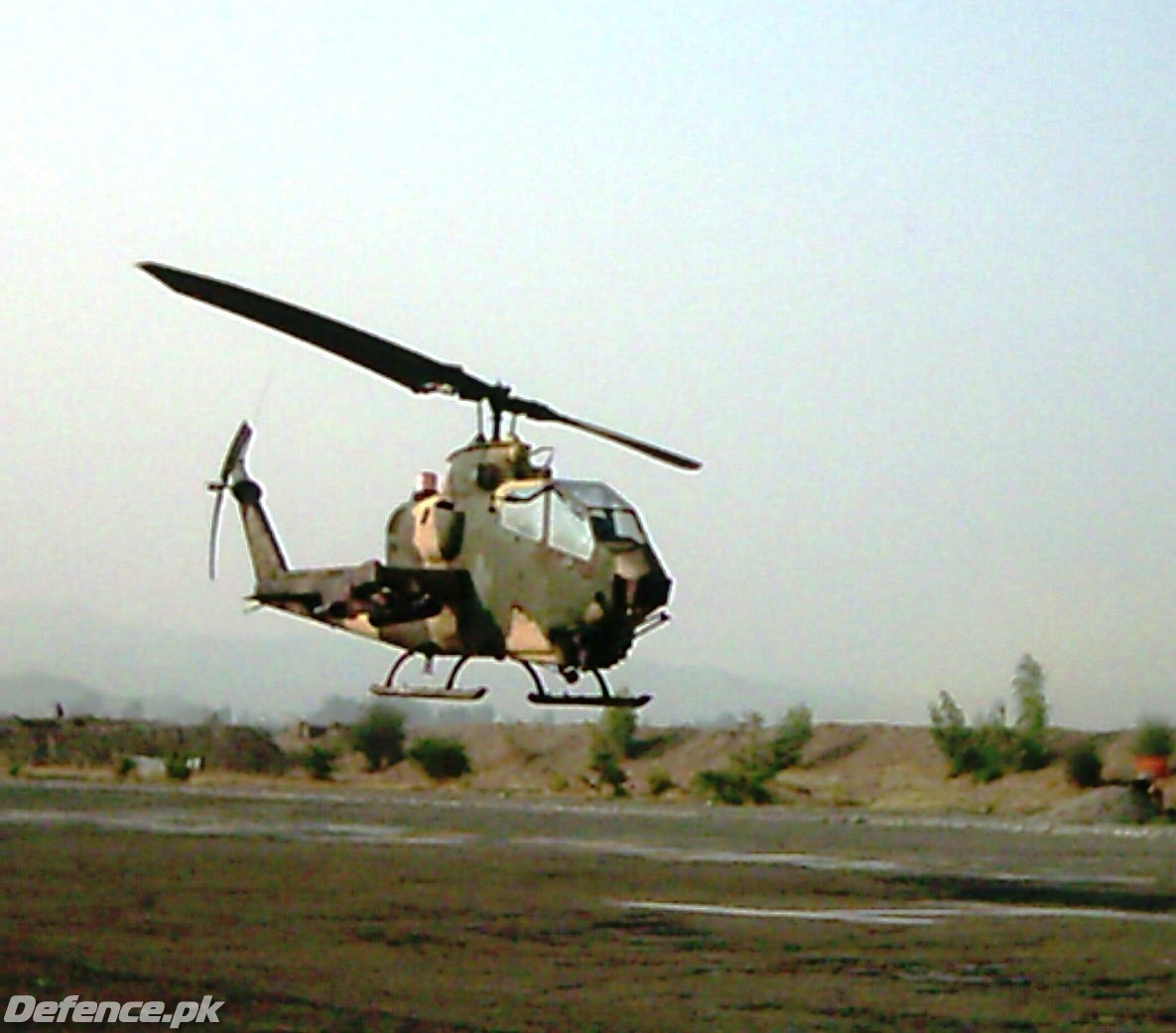 pakistani cobra