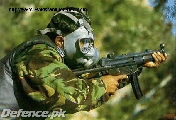 Special Services Group (SSG)