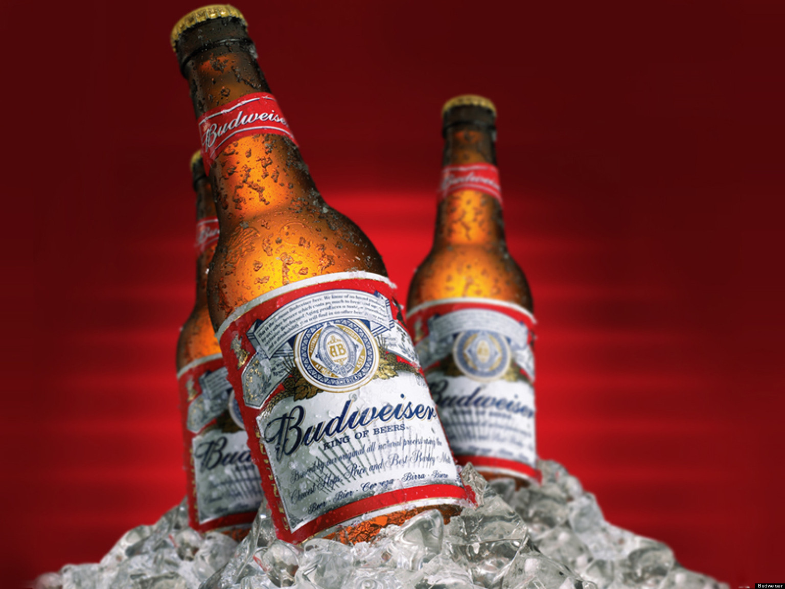 o-BUDWEISER-BUDVAR-facebook.jpg